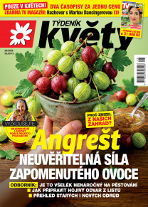 Týdeník Květy