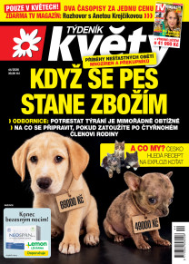 Týdeník Květy