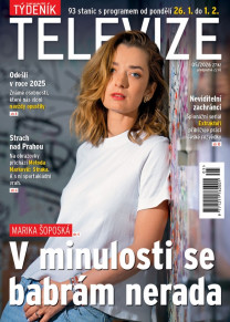 Týdeník televize