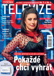 Týdeník televize