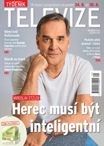 Týdeník televize