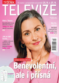 Týdeník televize