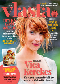 Vlasta