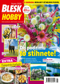 Blesk Hobby