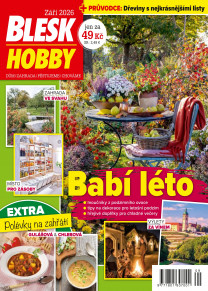 Blesk Hobby