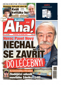 Nedělní Aha!