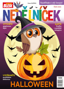 Nedělníček