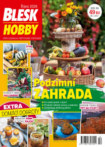 Blesk Hobby