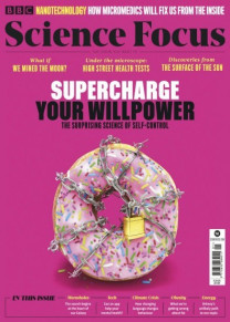 Focus Magazine
