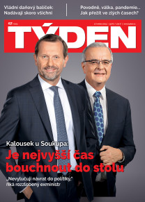 Týden