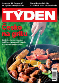 Týden