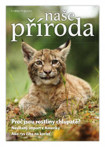 Naše příroda
