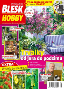 Blesk Hobby