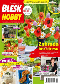 Blesk Hobby