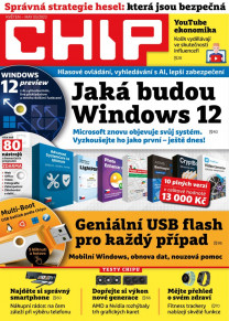 CHIP