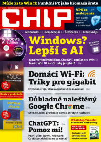 CHIP