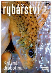 Rybářství