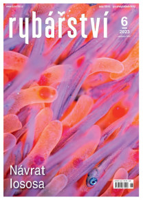 Rybářství