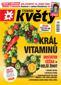 Týdeník Květy