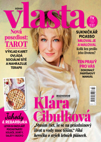 Vlasta