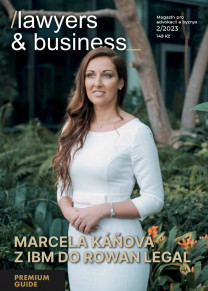 Lawyers & Business