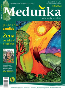 Meduňka
