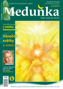 Meduňka