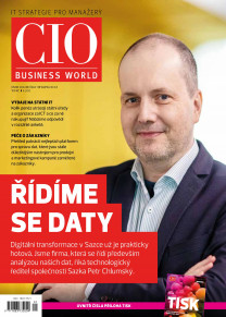 CIO Business World