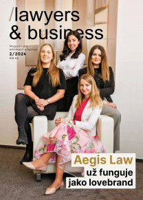 Lawyers & Business