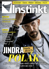 Instinkt