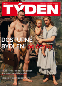 Týden
