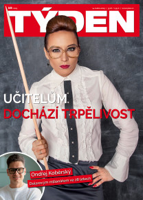 Týden