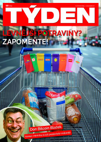 Týden
