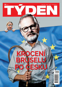 TÝDEN