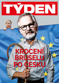 TÝDEN