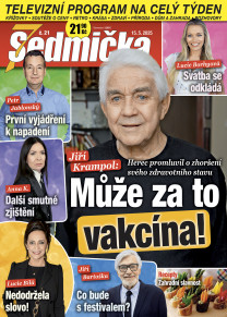 Sedmička