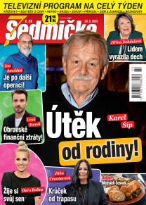 Sedmička