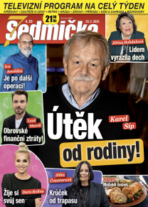 Sedmička