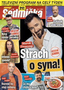 Sedmička