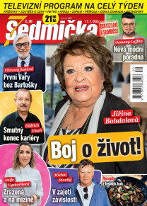 Sedmička
