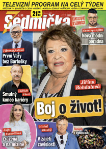 Sedmička
