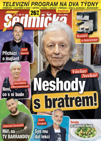 Sedmička