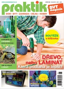 Praktik