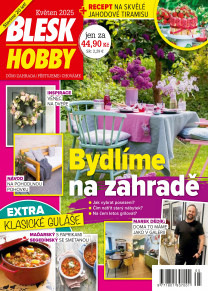 Blesk Hobby