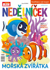 Nedělníček