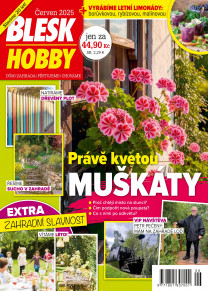 Blesk Hobby
