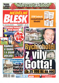 Nedělní Blesk