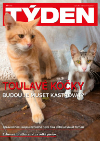 TÝDEN