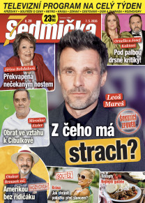 Sedmička