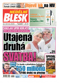 Nedělní Blesk